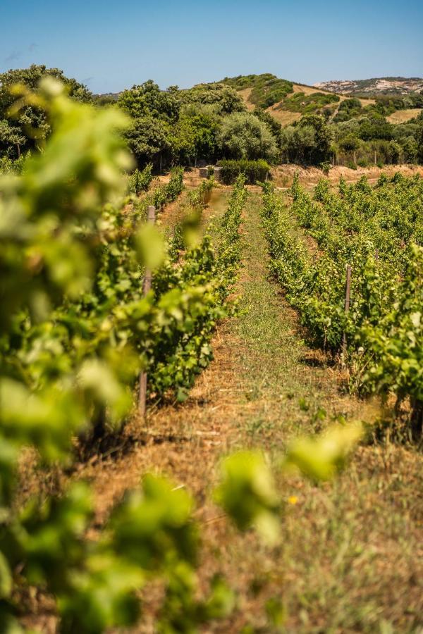 Locanda In Vigna Арцакена Экстерьер фото
